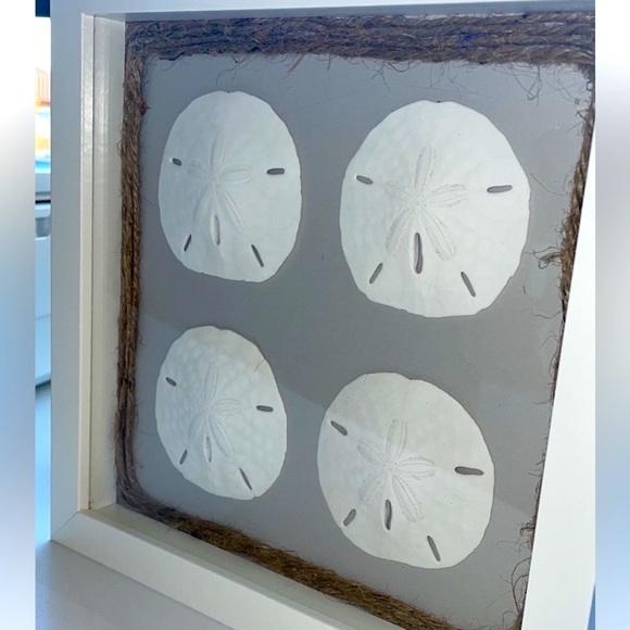 Sand Dollar Coastal Tropical Shadowbox - Picture 3 of 4